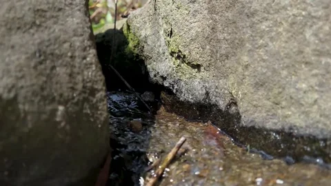 Mountain Stream Flowing Through Rocks - Peaceful Nature Animation Stock Footage 307896421