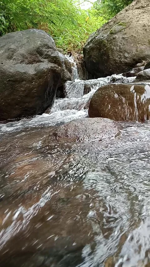 Mountain Stream Flowing Through Rocks in Green Forest Stock Footage 329900001