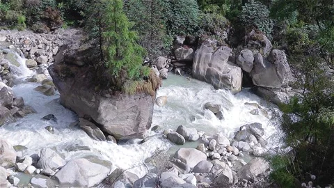Mountain Stream Flowing Through Rocky Forest Landscape in the Himalayas Video stock 311820587