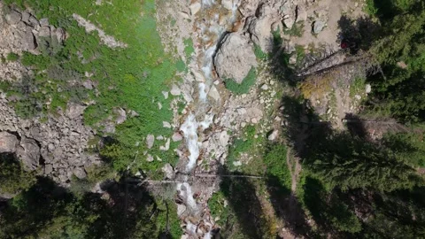 Mountain stream flowing through rocky terrain and lush vegetation Video stock 312436301