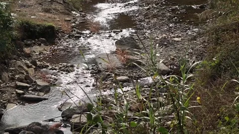 Mountain Stream Flowing Through Rocky Riverbed Stock Footage 329841499