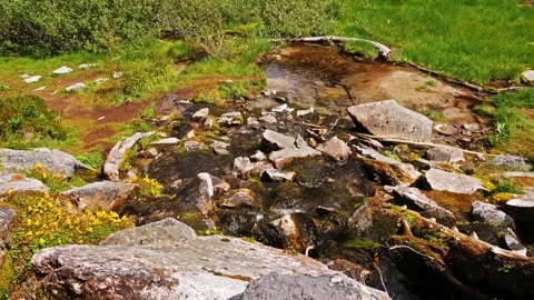 Mountain Stream Flowing Through Rocky Landscape in Mount Rainier National Park, Stock Footage 332138859