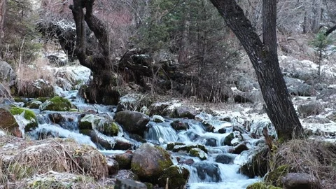 A mountain stream flowing through a snowy forest Stock Footage 321892645