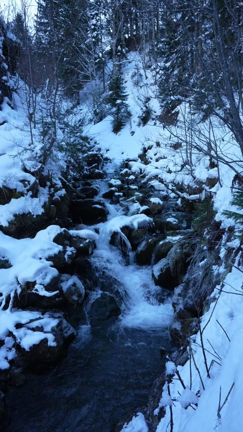 Mountain stream flowing through snowy winter forest Stock Footage 328375774