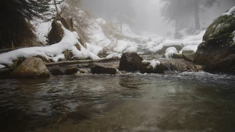 Mountain stream flowing through a snowy forest landscape Stock Footage 331791246