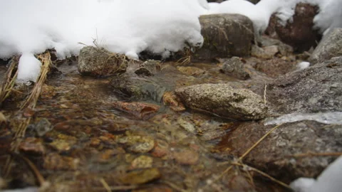 Mountain stream flowing through snowy banks in winter Stock Footage 331796523
