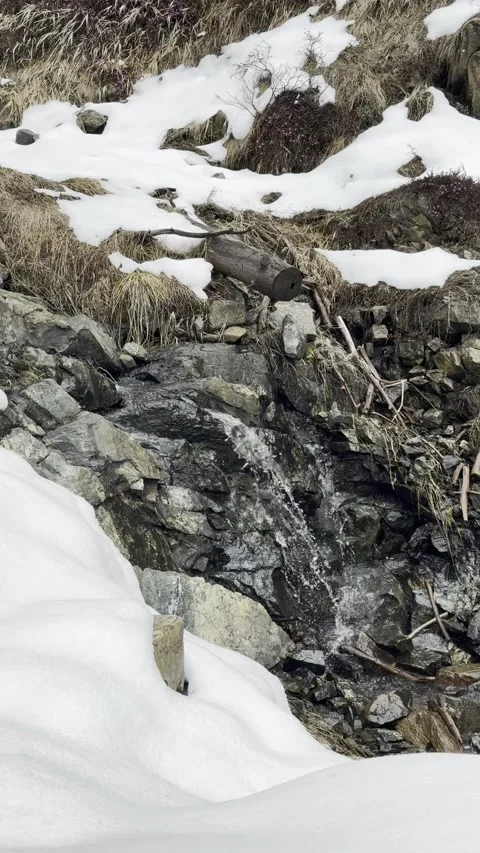Mountain Stream Flowing Through Snowy Forest, Natural Landscape Detail. Video stock 332403128