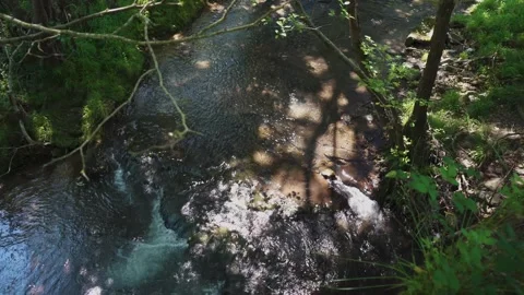 Mountain stream flowing through a sunny forest Stock Footage 337036149