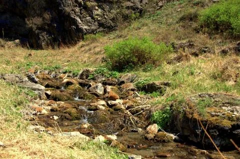 Mountain stream flowing through the valley and rocky shores. Stock Photos