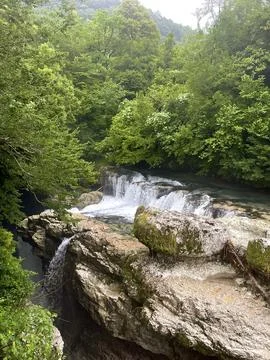 Mountain Stream Flowing Through Verdant Wilderness Stock Photos