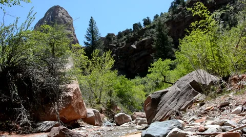 Mountain stream flowing through the wilderness in Zion National Park. Stock-Footage 37970361