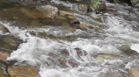 Mountain Stream - Flowing Water Stock Footage 50745654