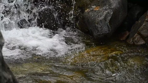 Mountain stream flows away from rocky waterfall with whitewater Video stock 233916209