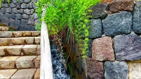 A mountain stream flows between a stone wall and stone staircase. Stock Footage 313027334