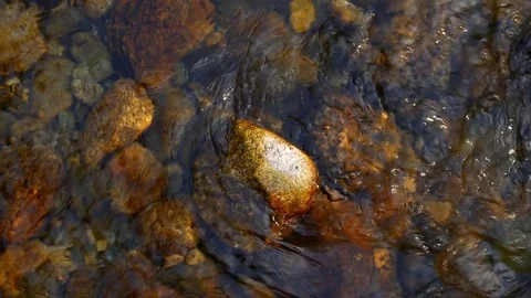 Mountain stream flows between the stones. Video stock 79749829