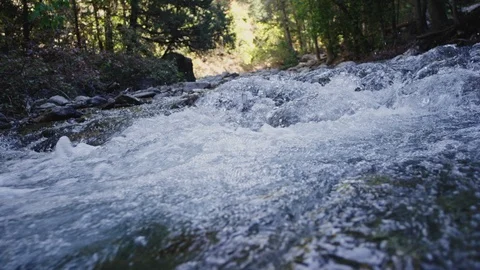 Mountain stream flows, crashes, and bubbles along Stock Footage 127462263