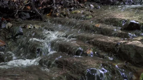 A mountain stream flows down the cascade in the Carpathians 4k Stock Footage 138870351