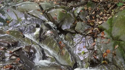 A mountain stream flows down a large rock in the Carpathians and leaves fall 4k Stock Footage 138870177