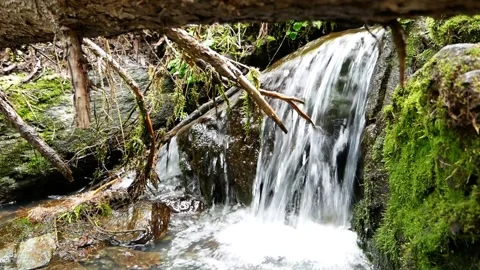 Mountain stream flows down the slope Видео 95637029