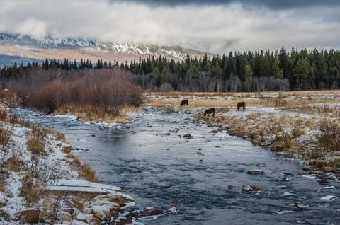 A mountain stream flows at the foot of the Zigalga Range Foto stock