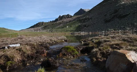 Mountain stream flows gently through alpine meadows under a clear blue sky at 库存影片 314081846