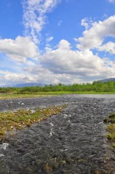 Mountain stream flows into the lake. Stock Photos