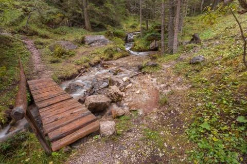 A mountain stream flows in the misty forest Stock Photos