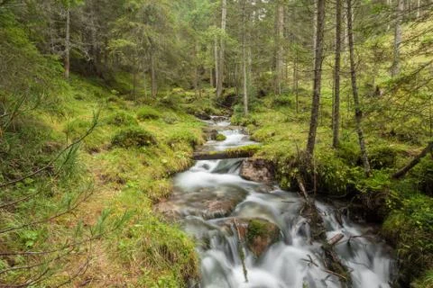 A mountain stream flows in the misty forest Stock-Fotos
