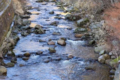 A mountain stream flows over granite rocks through a quiet forest valley, Фото