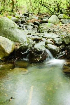 A mountain stream flows over rocks into a lake. Picturesque river mountains of Stock Photos