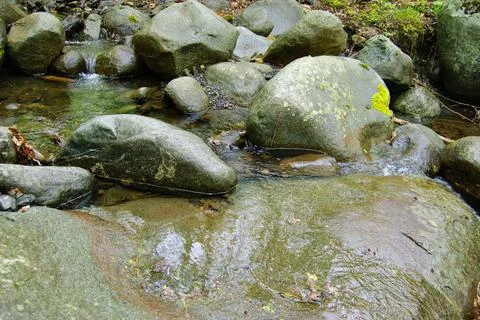 A mountain stream flows over rocks into a lake. Picturesque river mountains of Stock Photos