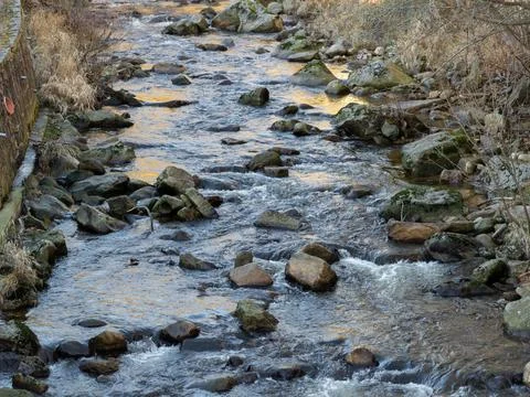 A mountain stream flows over rocky beds reflecting golden sunlight, capturing a Фото