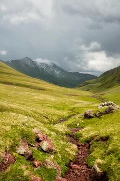 Mountain stream flows over the stones in a green valley among the mountains Stock Photos