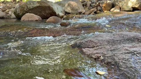 Mountain stream flows slowly between rocks, water moving gently through a 库存影片 329304899