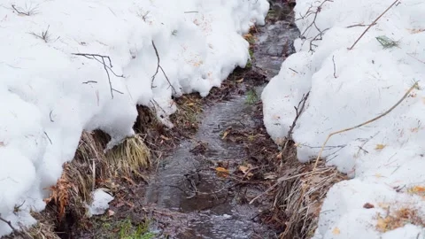 A mountain stream flows slowly during the spring snowmelt. Stock Footage 270024948