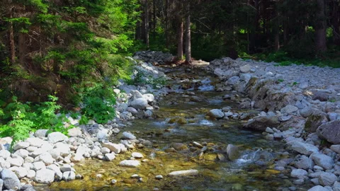 Mountain stream flows slowly on a sunny day Stock Footage 166231496