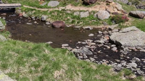 Mountain stream flows smoothly Video stock 77105841