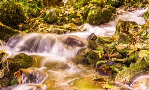 Mountain stream flows through the autumn forest Stock Photos