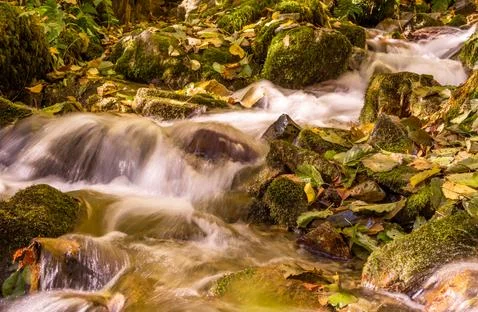 Mountain stream flows through the autumn forest Stock Photos
