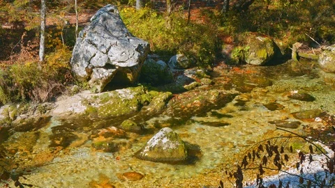 Mountain stream flows through a canyon of moss-covered white stones. Stock Footage 119558430