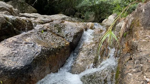 A mountain stream flows through large stones, foam from the flow of water Stock Footage 126286590