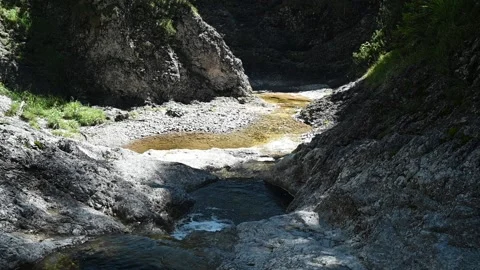 A mountain stream flows through pools in the summer (slow motion) Video stock 219646664