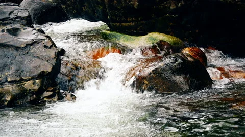 A mountain stream flows through the rocks. Scotland. Stock Footage 86735984