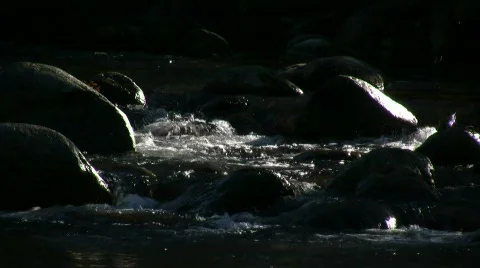 Mountain stream Stock Footage 303152