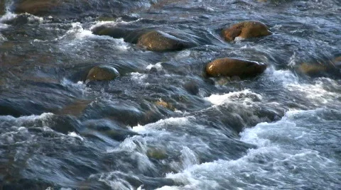 Mountain stream Stock Footage 303195