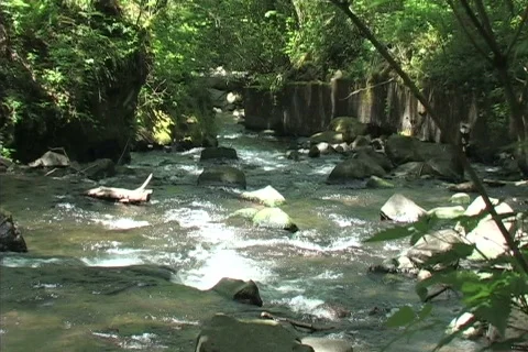 Mountain stream Stock-Footage 306398