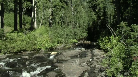 Mountain Stream Stock Footage 327986