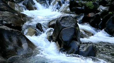 Mountain stream Stock Footage 530354