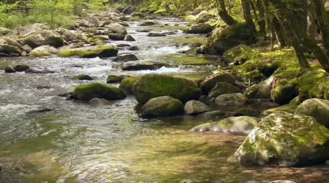 Mountain Stream Stock Footage 535448