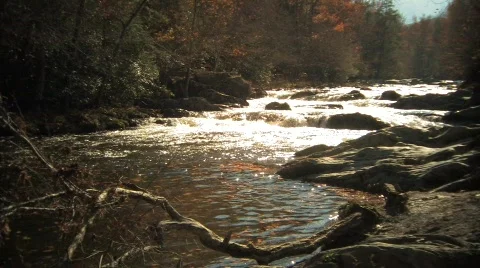 Mountain Stream Stock Footage 564475